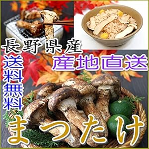 松茸シーズン到来・上田の直売所ではいくらで売ってる？ | シンプル